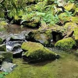 Like an Everflowing Stream