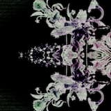 𝙂𝙧𝙖𝙘𝙚𝙨