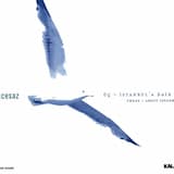 Muhallebicinin Oğlu