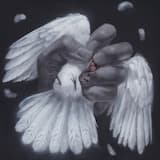 Locust Reign (redux)