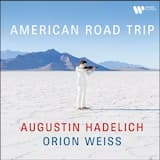 Netsuke: III. Tanuki playing the samisen