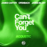 Can’t Forget You (acoustic)