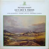 Piano Trio No. 1 in D Minor, Op. 49: I. Molto allegro ed agitato