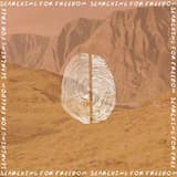 searching for freedom (Alternative Version)