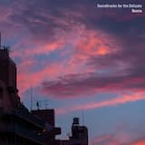 In Time, You Will Understand