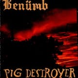 Path of the Righteous