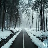 Love in the Dark (Acoustic)