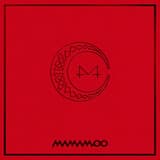 Midnight Summer Dream