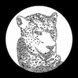 Need Your Lovin (Tiger & Woods remix)