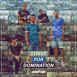 Strive for Domination