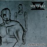 That Perfect Body (radio edit)