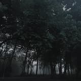 just what i’m going thru;