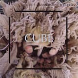 Cube 7: Sospensione d'estate