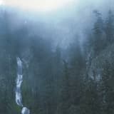 Queen of the Borrowed Light