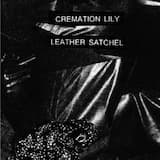 Votive Figure of a Toad