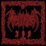 Illusion of Salvation