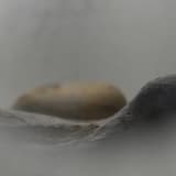 Lost Time Archive 1 (Bass Guitar & Granular)