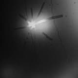 Subversion (Brand New Love)