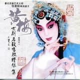 《玉堂春》全剧唱段：这堂官司未动刑