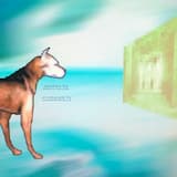 #10_ No MALICE {Like Malice)