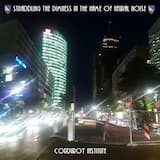 In the Name of Neural Noise