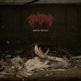 Shock Tactics (1000v)