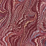 Journey of the Woodlouse