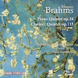 Piano Quintet in F minor, op. 34: I. Allegro non troppo - Poco sostenuto - Tempo I