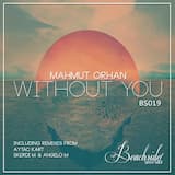 Without You (original mix)