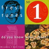 Do You Know What I Mean? (original mix)