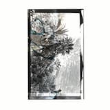 Atlantic Incantations