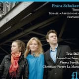 Trio no. 1, D 898 in B für Klavier, Violine & Violoncello, op. 99: II. Andante un poco mosso