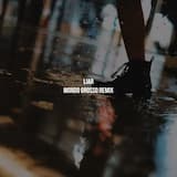 嘘だらけ - MONDO GROSSO remix