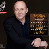 Symphony no. 7: I. Allegro moderato