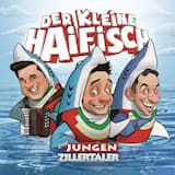 Der kleine Haifisch