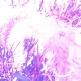 breaks of the tiny lives