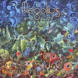 Who Is Who in the Zoo (Aegolius rmx)