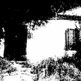 Forbidden Creatures of Time