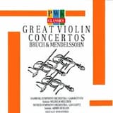 Concerto for Violin & Orchestra in E minor, op. 64: I. Allegro molto appassionata
