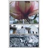 I (Foundations Stand Still)