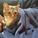 sequence. [ transitive. ]