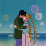 Never Fall In Love Again