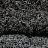 The Reformation of the Universe