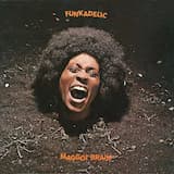 Maggot Brain