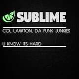 U Know It’s Hard (Da Funk Junkies Deep ‘N’ Funky remix)