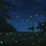 Field of Fireflies