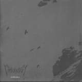 Im Augenblick der Nacht