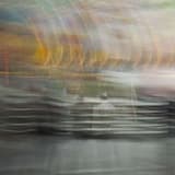 The Birds and the Bees