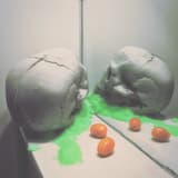 In the Coiled Gardens