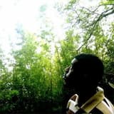 Another Night on the Roof